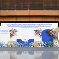 DSC_4292.jpg