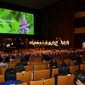 IMG_1986.JPG